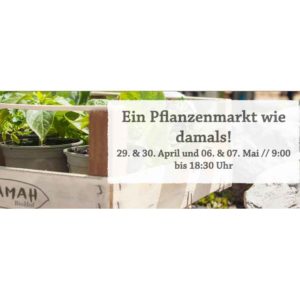 anna * pollack - Plakat Adamah Jungpflanzenmarkt 2022