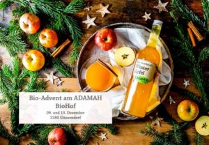 anna * pollack - Adamah Advent 2022