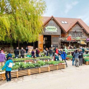 anna * pollack - Adamah Jungpflanzenmarkt 2023