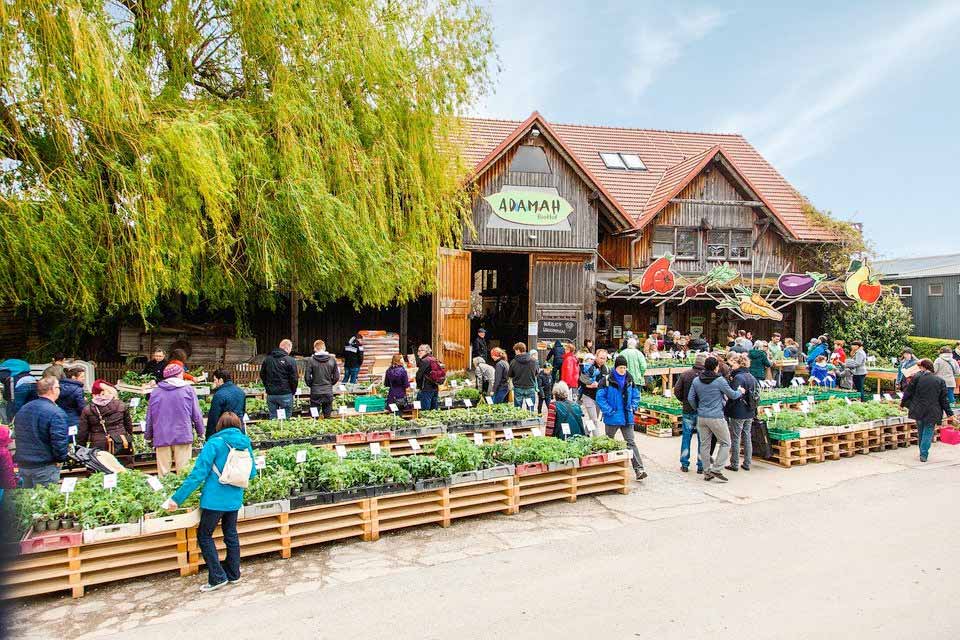 anna * pollack - Adamah Jungpflanzenmarkt 2023