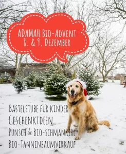 anna * pollack - adamah bio-advent einladung