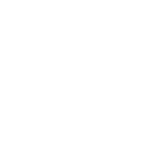 Ballonhülle XXL Icon