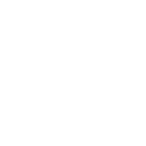 T-Shirt Icon