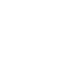Wendekleid Icon