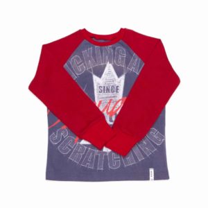 anna * pollack, T-Shirt grau mit Print mit roten Ärmeln, 104-110, Vorderansicht