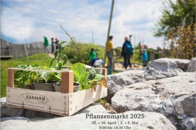ein Holzsteigerl mit Pflanzen steht au einem Stein, im Hintergrund Menschen, Text: Pflanzenmarkt 2025 25. + 26. April | 2. + 3. Mai 9:00 bis 18:30 Uhr